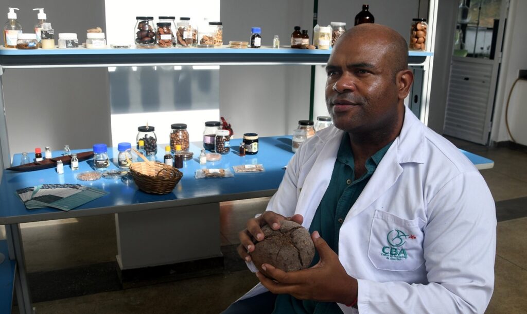 Com apoio da Finep, CBA usa inteligência artificial para reduzir ação de fungo causador de toxinas na castanha-do-brasil