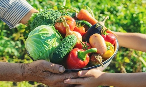 Resultado de Chamadas Finep/MCTI aportam R$ 180 milhões em projetos de ICTs e empresas para beneficiar agricultura familiar e agrobiodiversidade