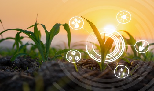 Bosch desenvolve plataforma para controle de emissões no agro com apoio da Finep