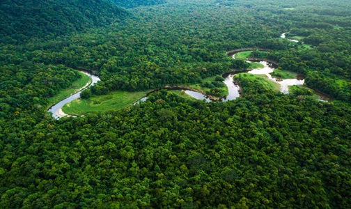 Edital pioneiro Finep/MCTI Pró-Amazônia aprova 26 projetos de incremento à infraestrutura para região