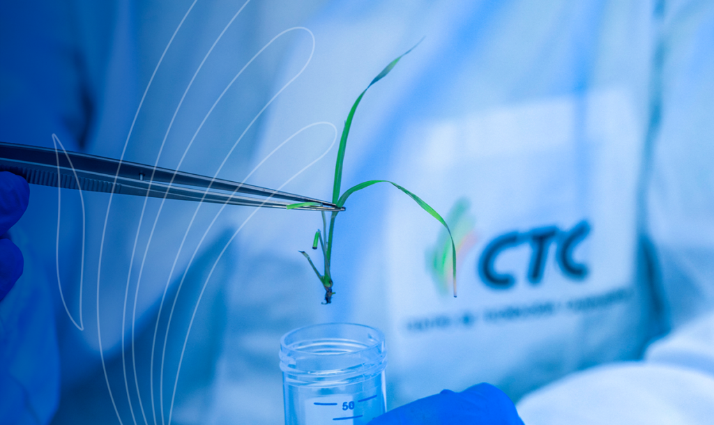 Finep aprova subvenção de R$ 72,6 milhões para o Centro de Tecnologia Canavieira (CTC)